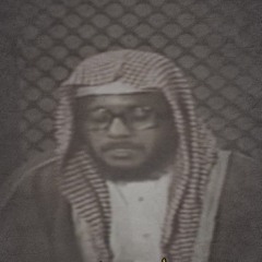 Al-Ahzab 21-22, Muhammad Ayoub