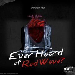 “Ever Heard of Rod Wave?” [prod. zoki]