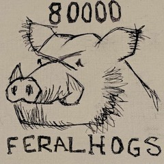 80000 feral hogs