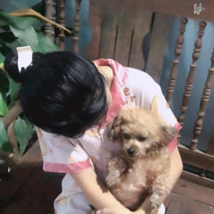 dzai s1 🐶