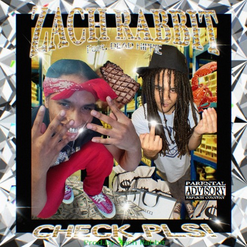 CHECK PLS 🥩🥩🥩 FEAT DEAD HIPPIE (PROD. ZACH RABBIT)