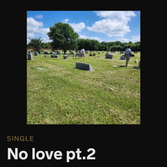 No Love pt.2 (feat. E.locz & aZofyee)