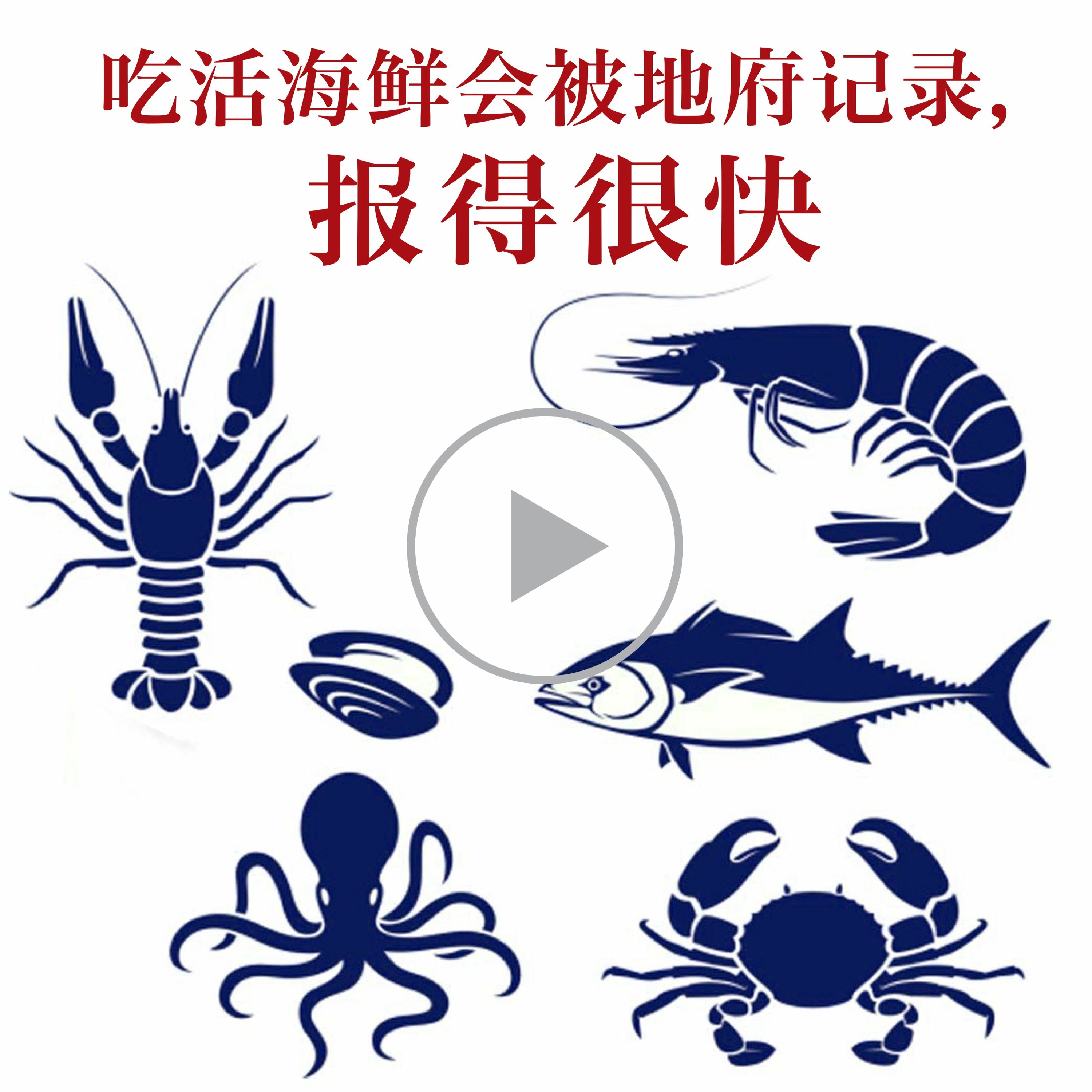 吃活海鲜会被地府记录，报得很快 episode artwork