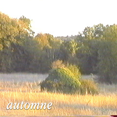 Julia Henderson - Au fil des saisons: Automne ~ 01.10.2025