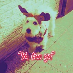 Anthfckyou-Ya fue ya