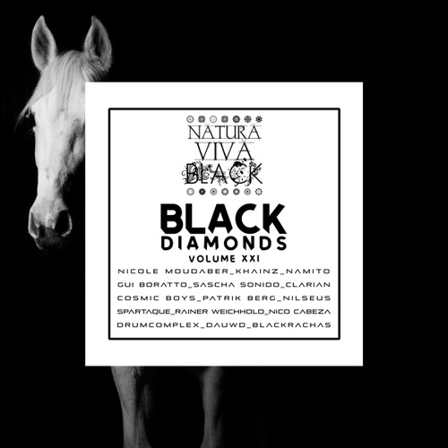The Elephant (Cosmic Boys Remix)