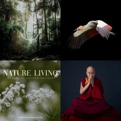 Ketamine Assisted Therapy