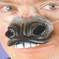 DONKEY NOSEBLEED