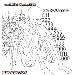 No Molestar (prod.Kittywonder2004)