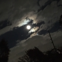 MIDNIGHT- DownFall (Prod By. BearMakeHits)