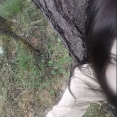 بالغدر خذت امتياز