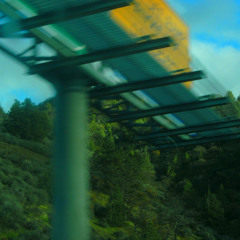 disney69 - Destroyer