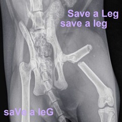 Save a Leg