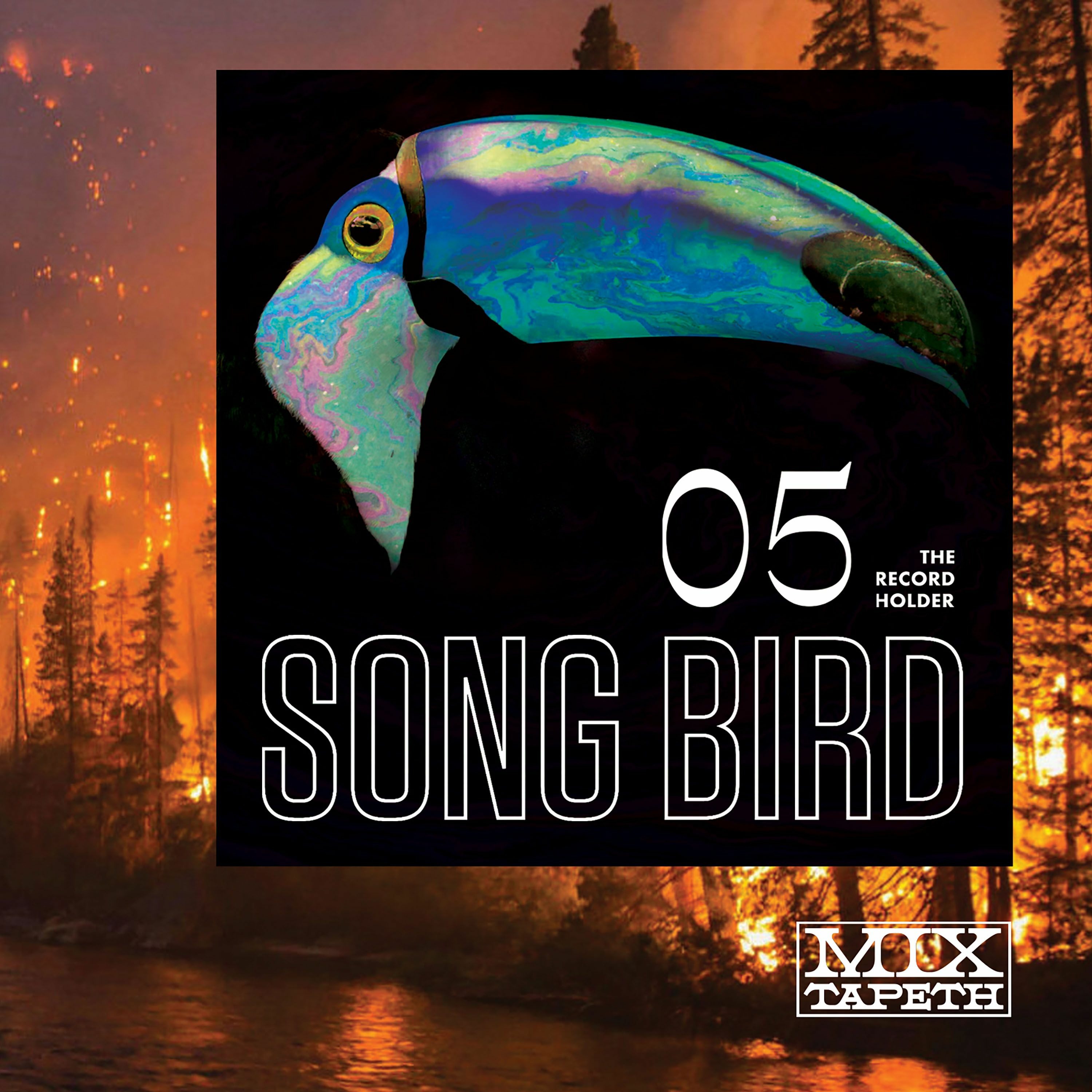 SONG BIRD episode artwork