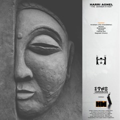 PREMIERE: Harri Agnel - Quartet (Original Mix) [Hotworx Recordings]