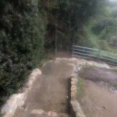 West Hollywood Melancholy + (2020)