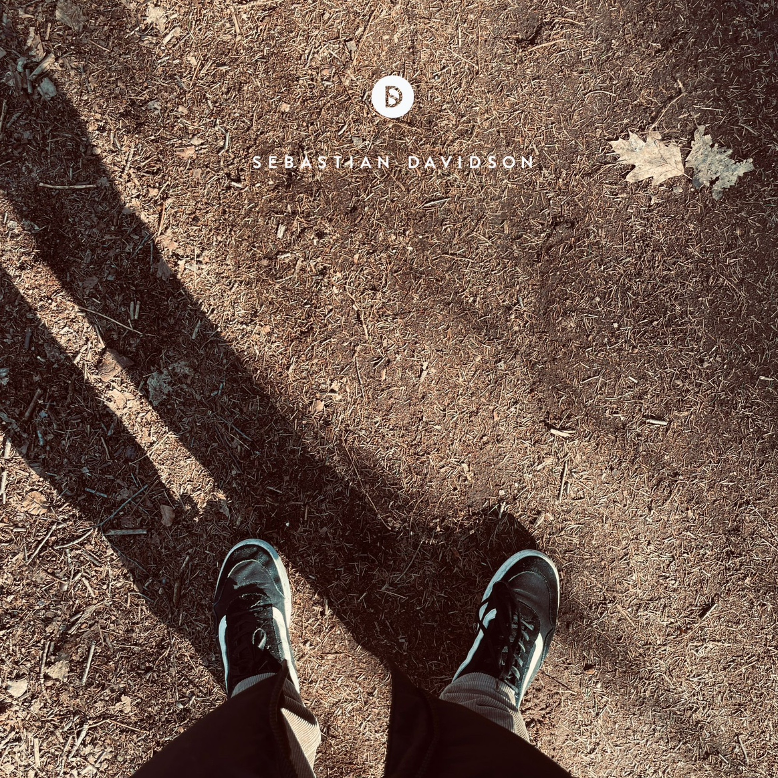 Voyage of Discovery by Sebastian Davidson