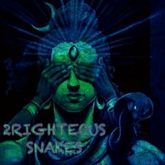 Snakes [Prod. By ZayTheGrayDemon]