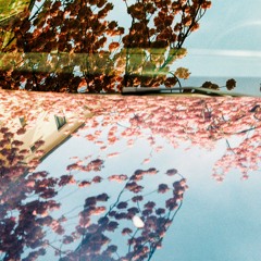 Pleasures / Shallow Water