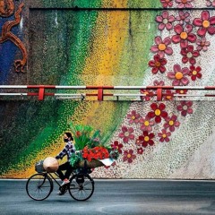 Gói Gọn Ký Ức Trao Anh - TVS Remix