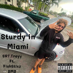 Sturdy In Miami ft. Fishstixz BMB