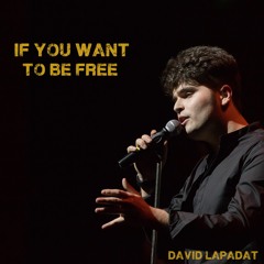 David Lapadat - If You Want To Be Free