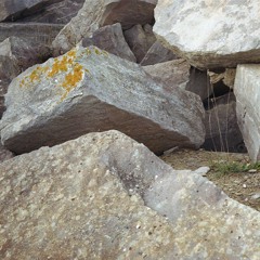 A remote reading of:  The Walker in the Landscape