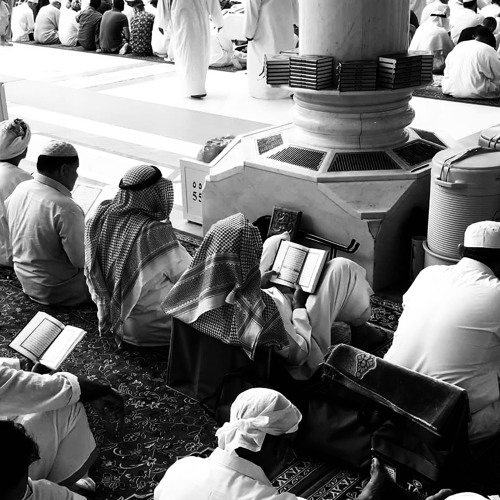 المنظومة الحائية