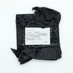 PLIB066 - HUGO ESQUINCA - DOCUMENTO_UNO (EXCERPT)