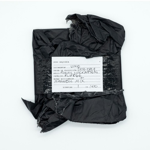 PLIB066 - HUGO ESQUINCA - DOCUMENTO_UNO (EXCERPT)