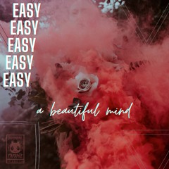 a beautiful mind - easy