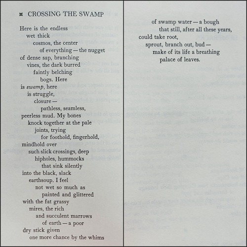 Mary Oliver - Crossing the Swamp.m4a
