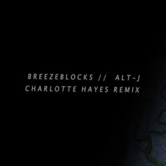 Breezeblocks //Charlotte Hayes//
