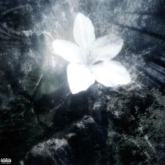 Best of Me / Save Ha!