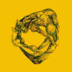 사막 위 하얀 꽃