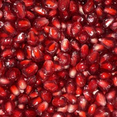 pomegranate season • 101025
