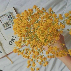 6.18.18 - Billie Eilish (Acoustic Guitar Cover)