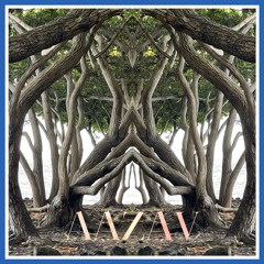 AAZAV @ Kalani 5/18/25 (Full Wave)