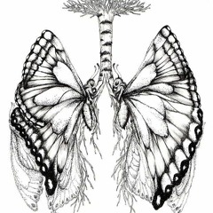 BUTTERFLY ft. 3.1.4 GLO (prod. by $wedo Beats)