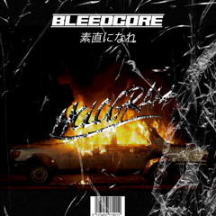 Must die! - Chaos (HOLOGRAM FLIP) [BLEEDCORE PREMIERE]