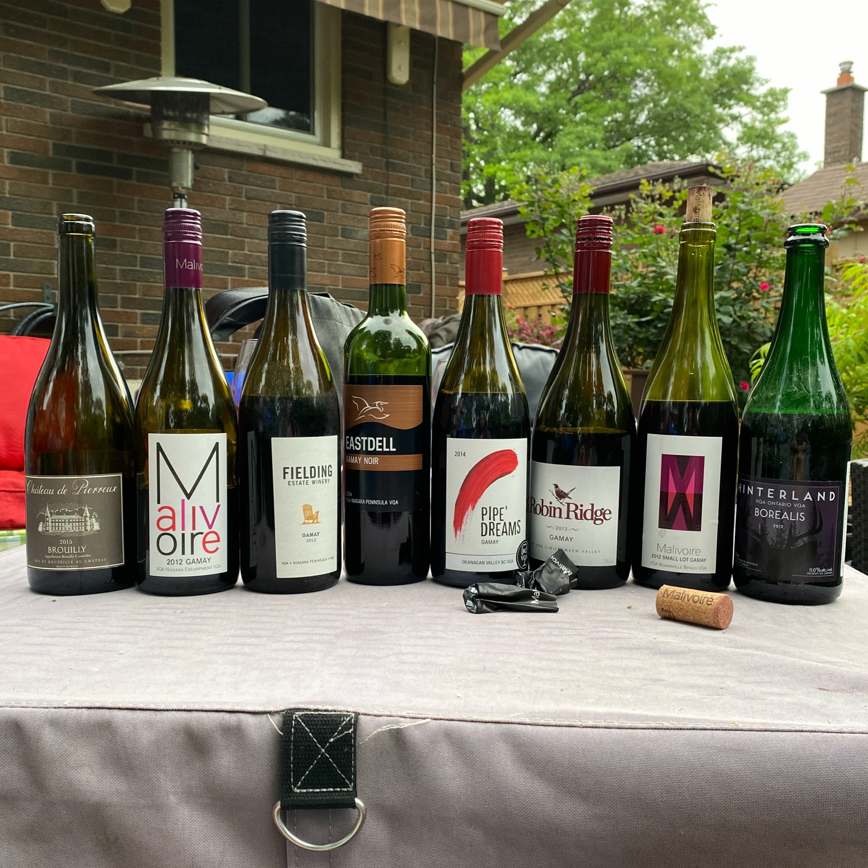 Stump The Chump with Shiraz Mottiar - Gamay Edition