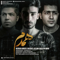 Hamdam (feat. Mehran Ahmadi & Hossein Amini)