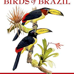 download EBOOK 📃 A Field Guide to the Birds of Brazil by  Ber van Perlo EPUB KINDLE
