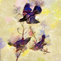 Chasing the wind [remix of tracks by how the night came]