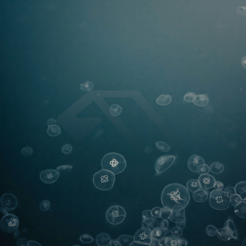 Best of Anjunadeep 03