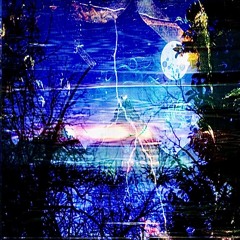 [>]RINGINGPLANTS[<]PRD. FROZEN LORD