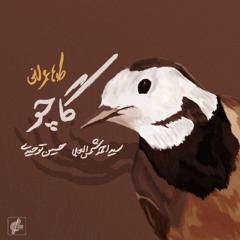Gachoo - Taha Omrani | گاچو - طاها عمرانی