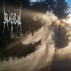 Sommar (Men Du Är Inte Här...) [CLIP]