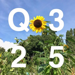 Q3 2025 Chart Mix
