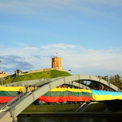 Український дім у Литві: діяльність та підтримка України